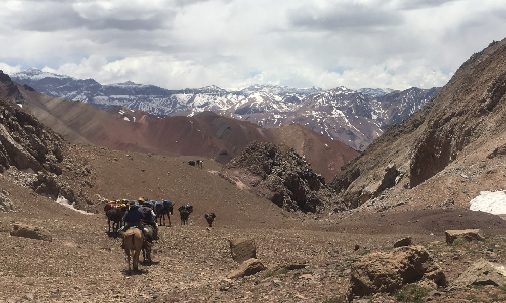 Mule team descending the pass towards Penitentes on the last day of the course